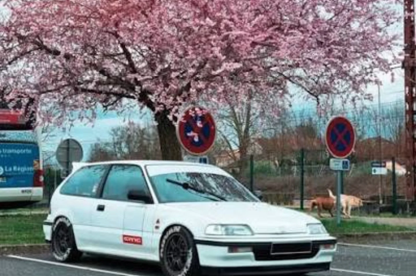 Белый Honda Civic EF